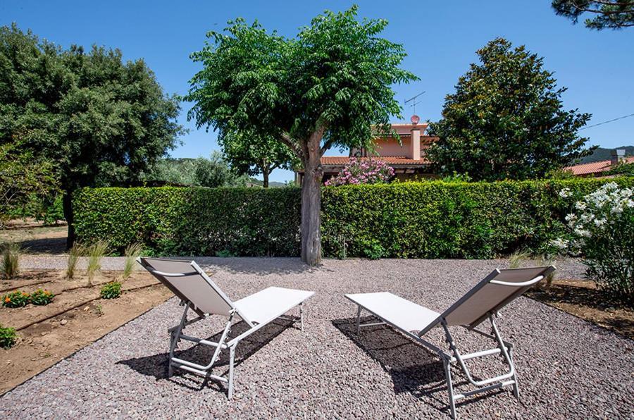 Agriturismo La Sassicaia Castiglione della Pescaia Exteriör bild